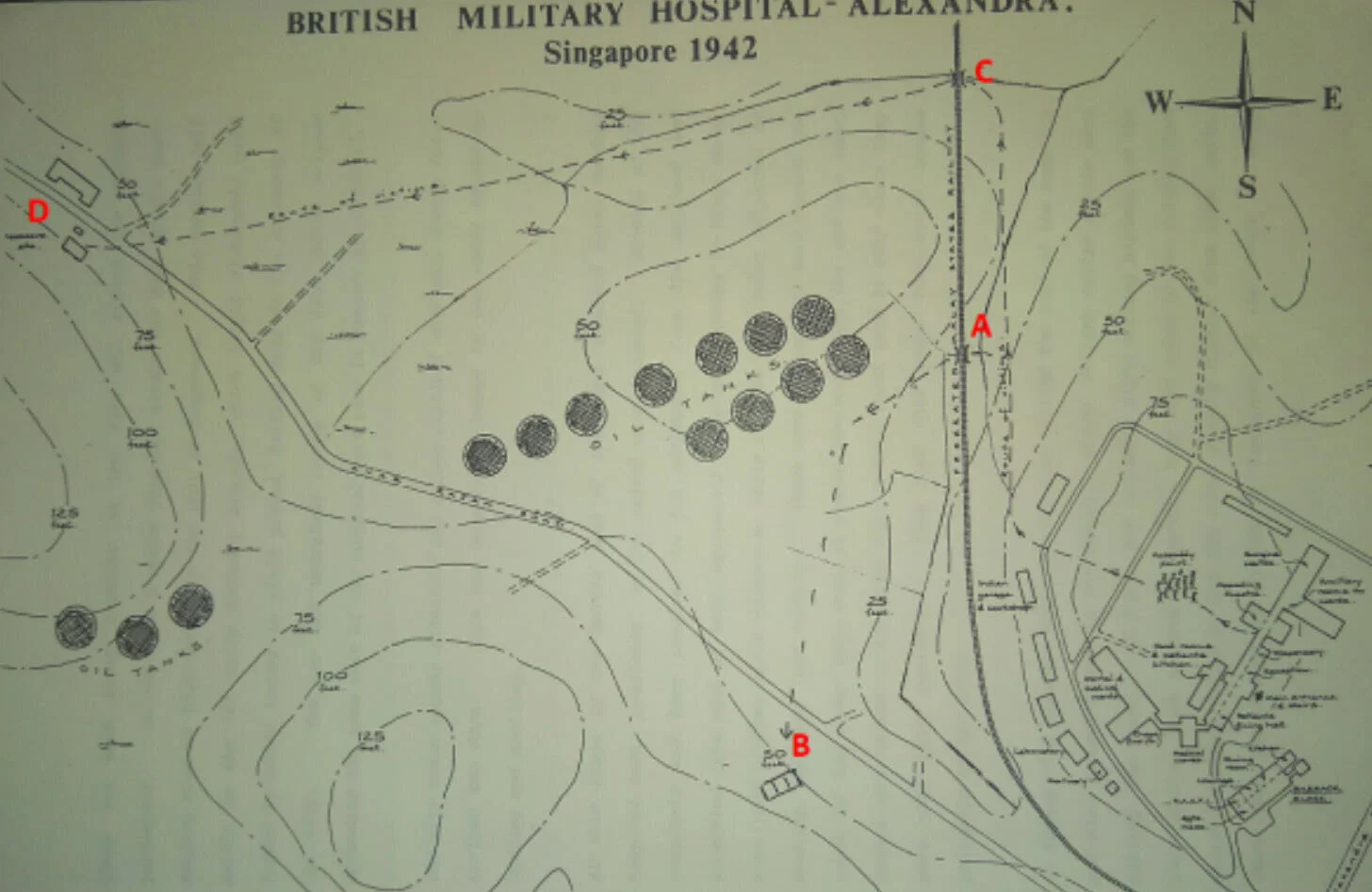Map showing the march route of staff and patients from Alexandra Hospital